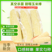 皮薄甜糯口感佳 蒸煮食用 玉米当季 采真空锁鲜颗粒匀实饱满