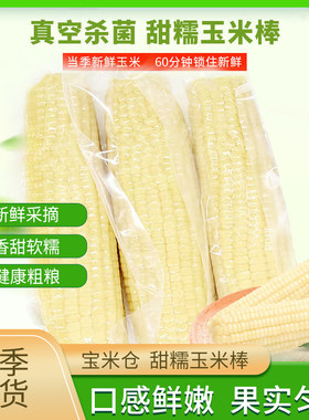 内蒙古赤峰宝米仓玉米