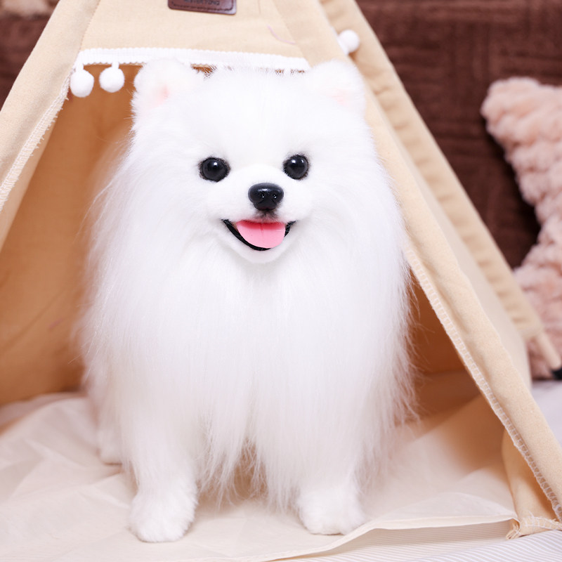 非遗胡赛尼克隆仿真博美犬狗狗玩偶高级感逼真毛绒玩具生日礼物