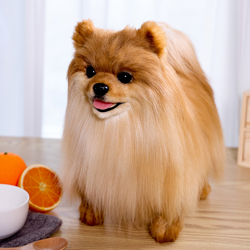 非遗凯特胡赛尼克隆仿真博美犬狗狗玩偶高级感逼真毛绒玩具男女孩