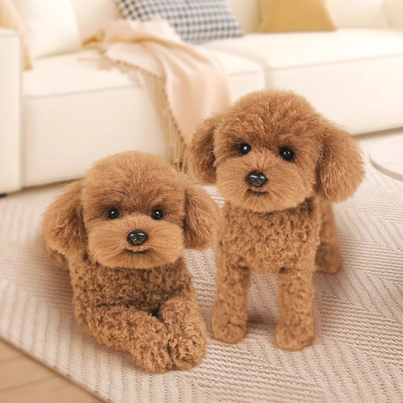 凯特胡赛尼仿真泰迪狗玩偶贵宾犬公仔毛绒玩具儿童男女孩生日礼物