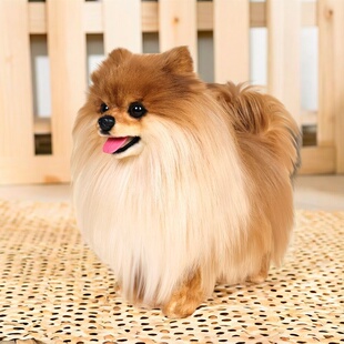 仿真白博美犬狗狗玩偶凯特胡赛尼公仔毛绒玩具男女孩陪伴生日礼物