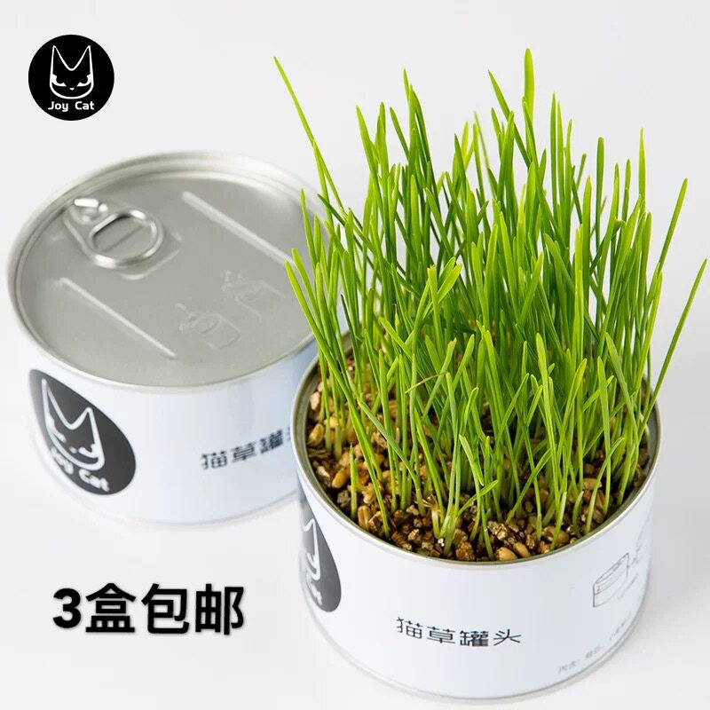 JoyCat猫草罐头 化毛猫零食无土壤有机猫草毛球小麦猫草3罐包邮
