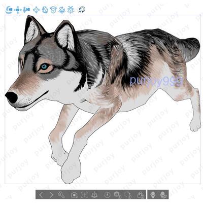 csp3d模型_狼带绑定可动模型多款预设