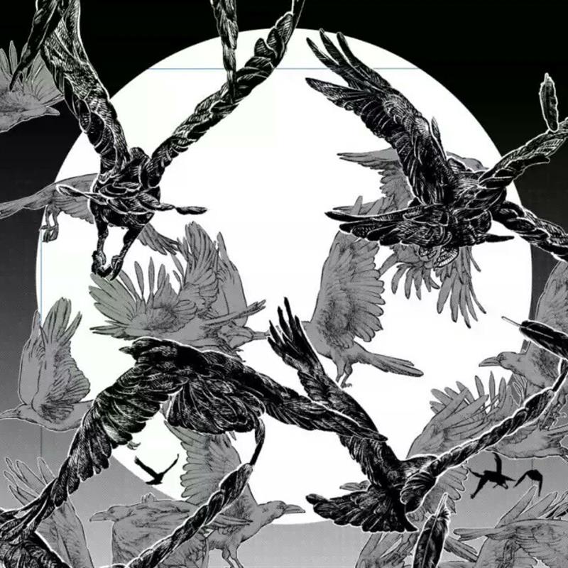 【csp笔刷】鸽子乌鸦鸟笔刷