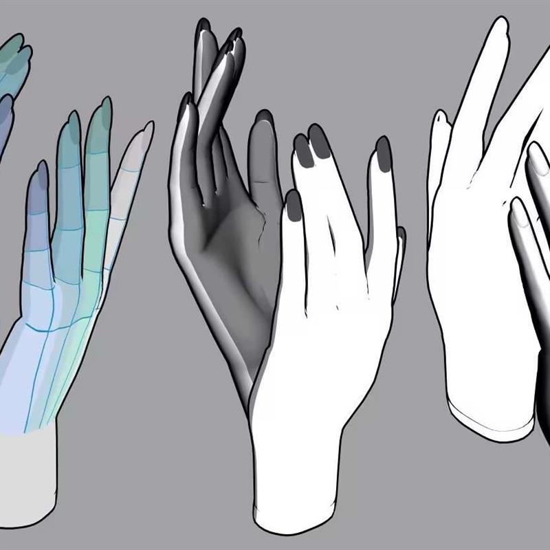 【csp模型】【推荐】修长的手指女士手指甲