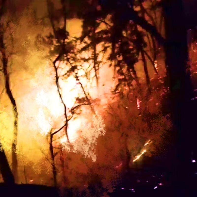 37-CSP火焰笔刷4支