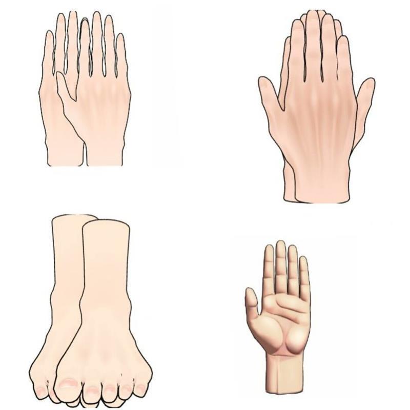 csp手脚模型打包