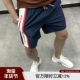轻薄透气 夏季 男士 俄单好货 拼色运动休闲速干排汗松紧腰五分短裤