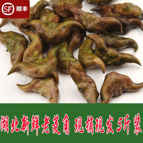 湖北洪湖新鲜老菱角粉糯