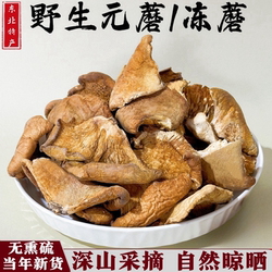 东北野生元蘑冻蘑菇干货新货菌菇煲汤肉厚无根小鸡炖蘑菇山货特产