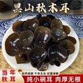东北黑木耳干货黑山小碗耳秋木耳野生小朵无根老鼠耳黑龙江特产