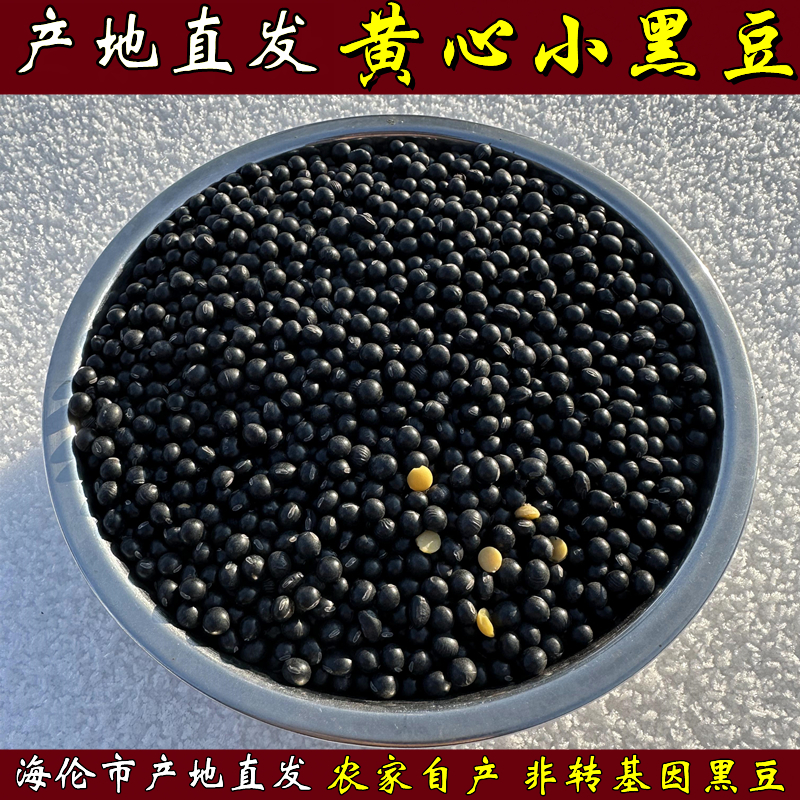 农家自产黄心小粒黑豆生豆芽豆浆