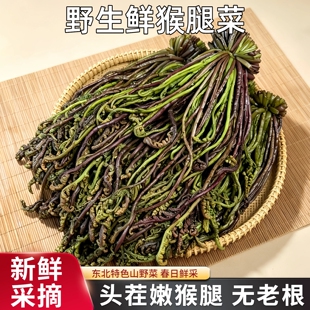 2026新货东北猴腿野菜新鲜食盐腌制咸猴腿蕨菜无老根口感嫩滑2斤