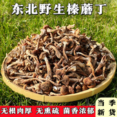 精品榛蘑丁东北野生蘑菇干货山珍特产小蘑菇干小鸡炖蘑菇无根肉厚