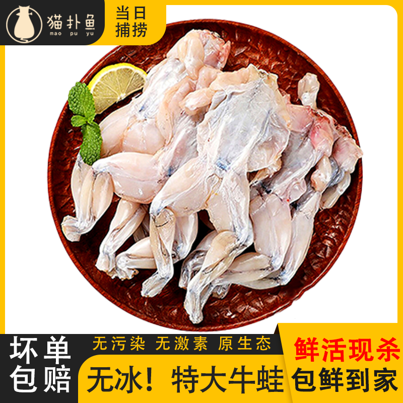 【牛蛙新鲜】鲜活现杀大田鸡顺丰