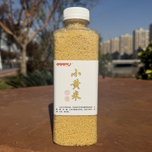 打窝酒米秘制发酵四季通用本色小黄米窝料主攻大板鲫