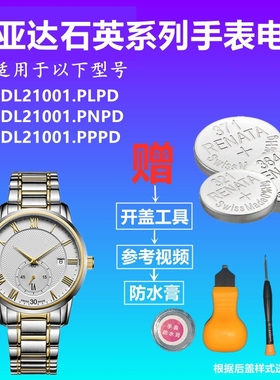 适用于FIYTA飞亚达手表DL21001.PLPD/PNPD/PPPD手表电池纽扣电子