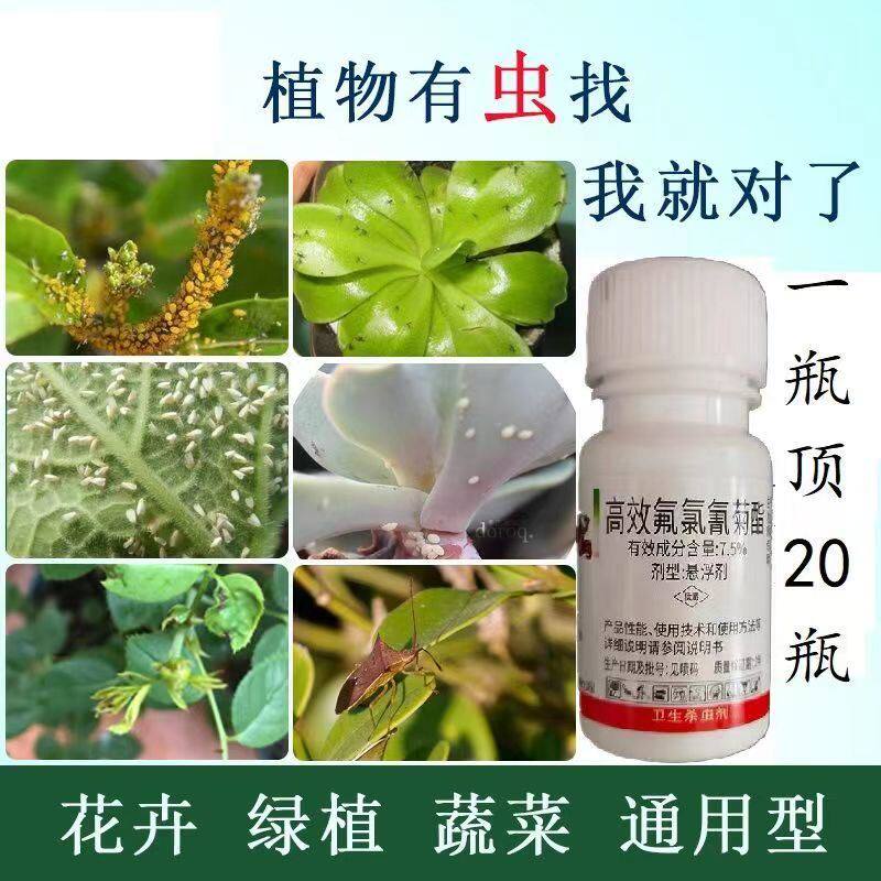 花盆边缘土壤里跳虫烟灰虫小白点潮虫鼠妇千足虫土螨蛆专用杀虫剂