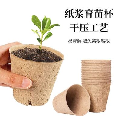 纸浆育苗盆一次性可降解花盆育苗杯培营养钵假植盆育苗扦插种植
