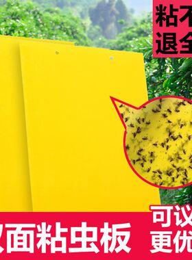 粘蝇纸苍蝇贴强力家用小飞虫黄板黄色粘虫板双面诱虫果园果蝇蚊子