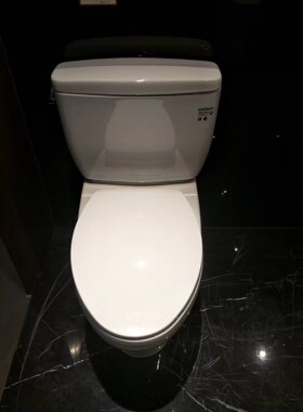 正品现货TOTO坐便器分体马桶CW764RB/SW764B TC394CVK缓冲盖板