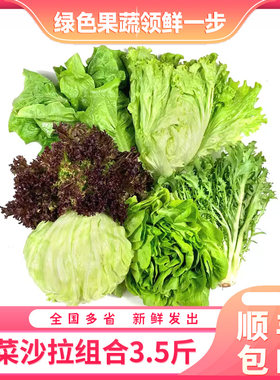 新鲜生菜组合沙拉健身蔬菜
