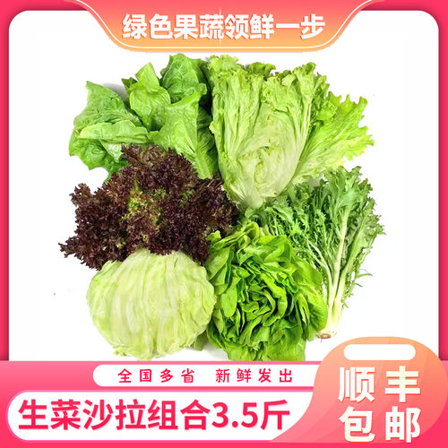 新鲜生菜组合沙拉健身蔬菜
