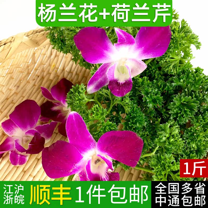 新鲜杨兰花 洋兰花250g 法香荷兰芹250g 酒店摆盘装饰鲜花草点缀