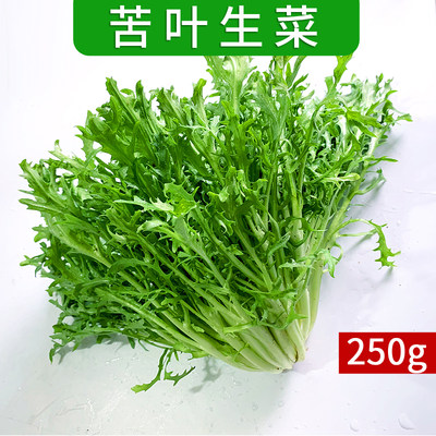 新鲜苦菊250g 苦叶生菜 苦细叶狗牙菜苦苣菜 蔬菜沙拉食材5件包邮