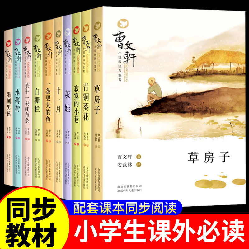曹文轩文学小说阅读与鉴赏第十—根红布条 水薄荷 灰娃 寂寞的小巷 青铜葵花 十一月 草房子 一条更大的鱼