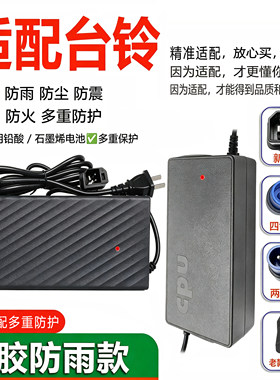 适配台铃电动车充电器60V72V38Ah