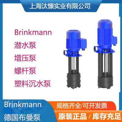 德国BRINKMANN布曼潜水泵STA2500330源厂直采 原装进口