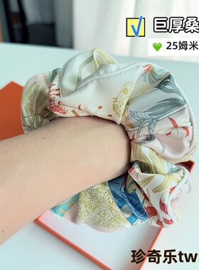 【珍奇乐园】大肠花发圈头绳女真丝韩国韩式韩系慵懒风头饰低马尾
