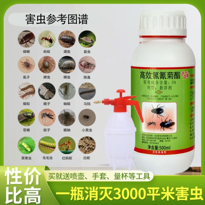 杀蚊子灭蟑螂神器跳蚤蚂蚁白蚁药家用室内户外下水道杀虫剂臭虫药