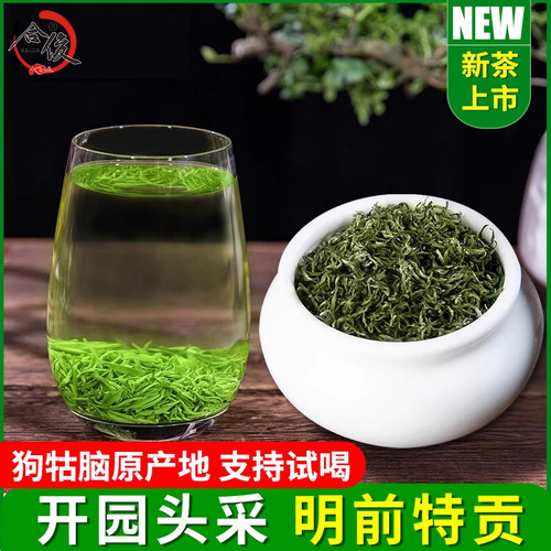 2025新春茶江西狗牯脑茶炒青绿茶
