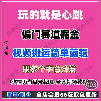 玩的就是心跳偏门赛道掘金项目副业教程课程在家就可以挣到米简单