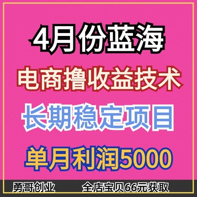 4月份蓝海电商撸收益技术副业项目教程课程视频在家躺着也能挣钱