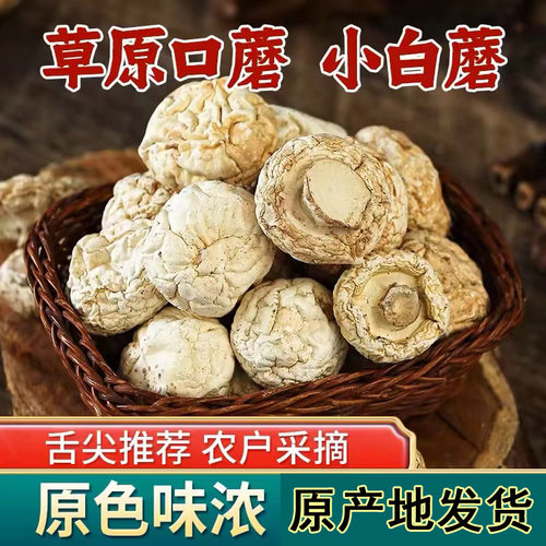 张家口口蘑 坝上张北特产 食用菌农产品干货 草原白口蘑 白蘑菇 - 封面