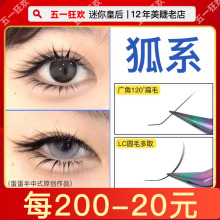 狐系0.07LC型广角L型多取LU猫系L婴儿弯山茶花嫁接睫毛美睫店专用