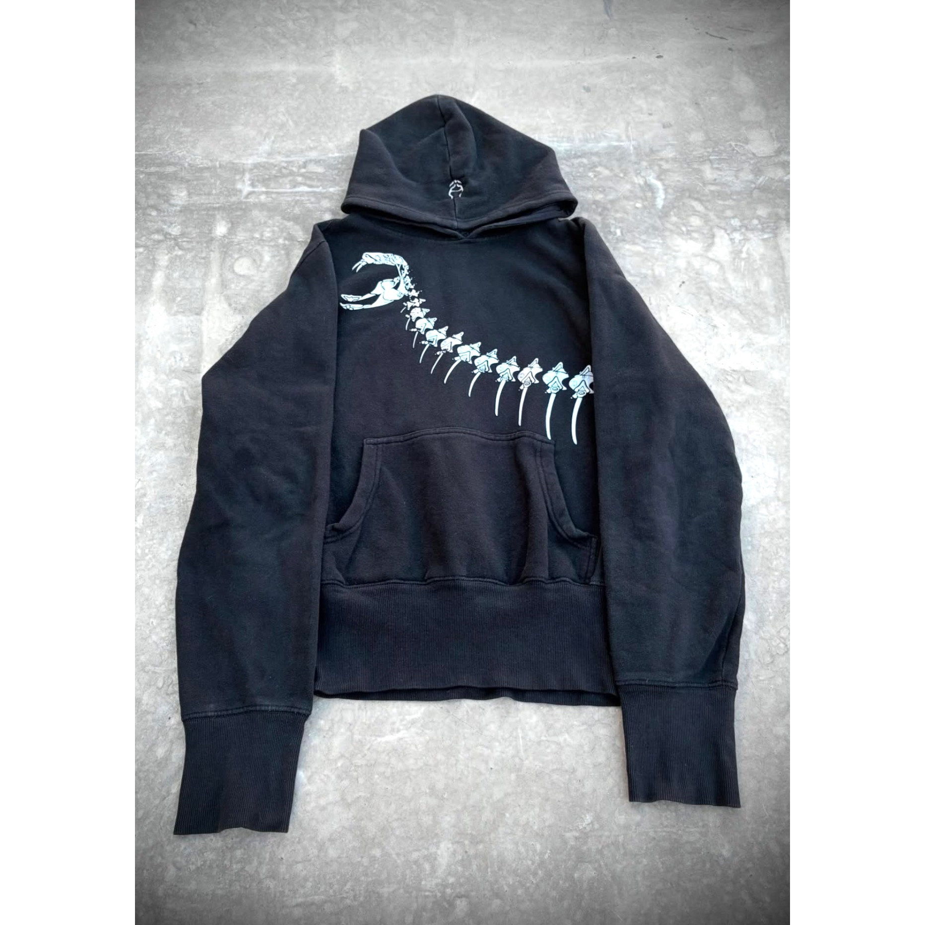 （现货）自主 AW00 Cyberdog Titanoboa Hoodie 经典黑化石卫衣