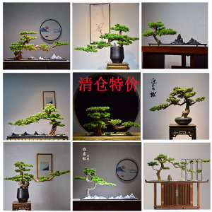 清仓特价仿真迎客松盆景绿植桌面新中式禅意摆件玄关客厅家居装饰
