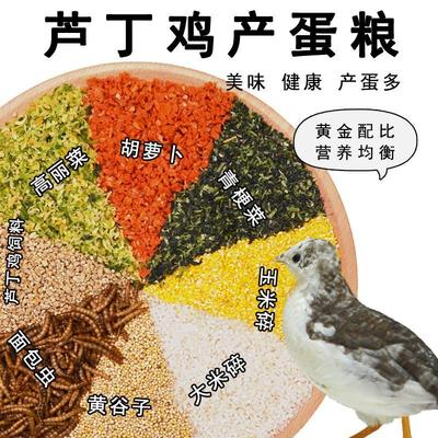 芦丁鸡饲料产蛋粮卢丁鸡宠物专用营养食物下蛋粮食幼小鸡开口育雏