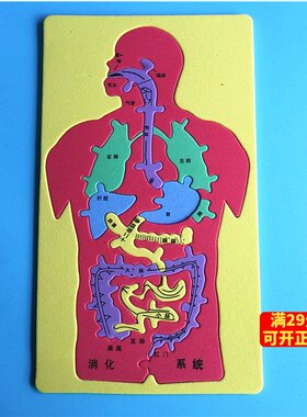diy人体消化系统内脏科学实验