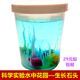 水中花园学生DIY科技制作发明儿童创意趣味生长石科学实验套装