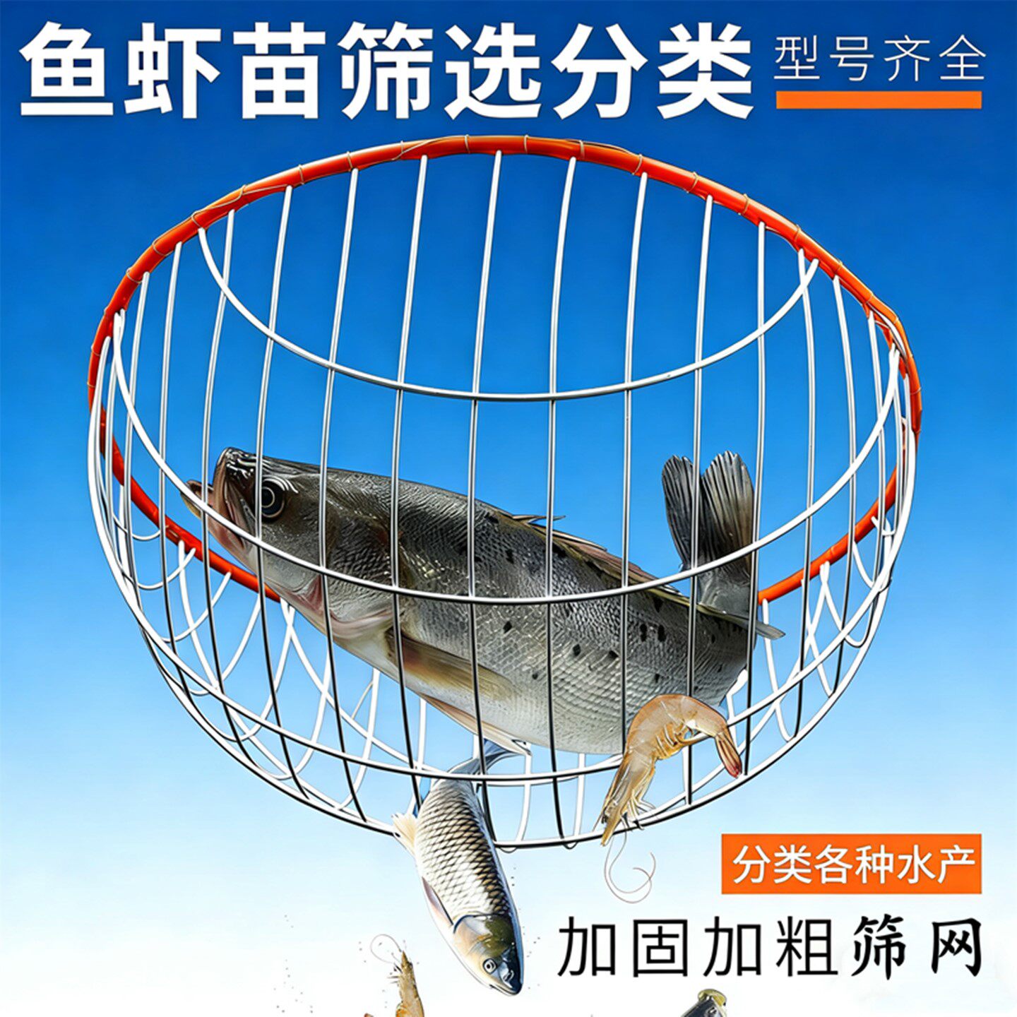 鱼苗分级筛镀锌钢丝鱼筛网筐大小分拣分选筛鱼器样品筛子筛鱼神器
