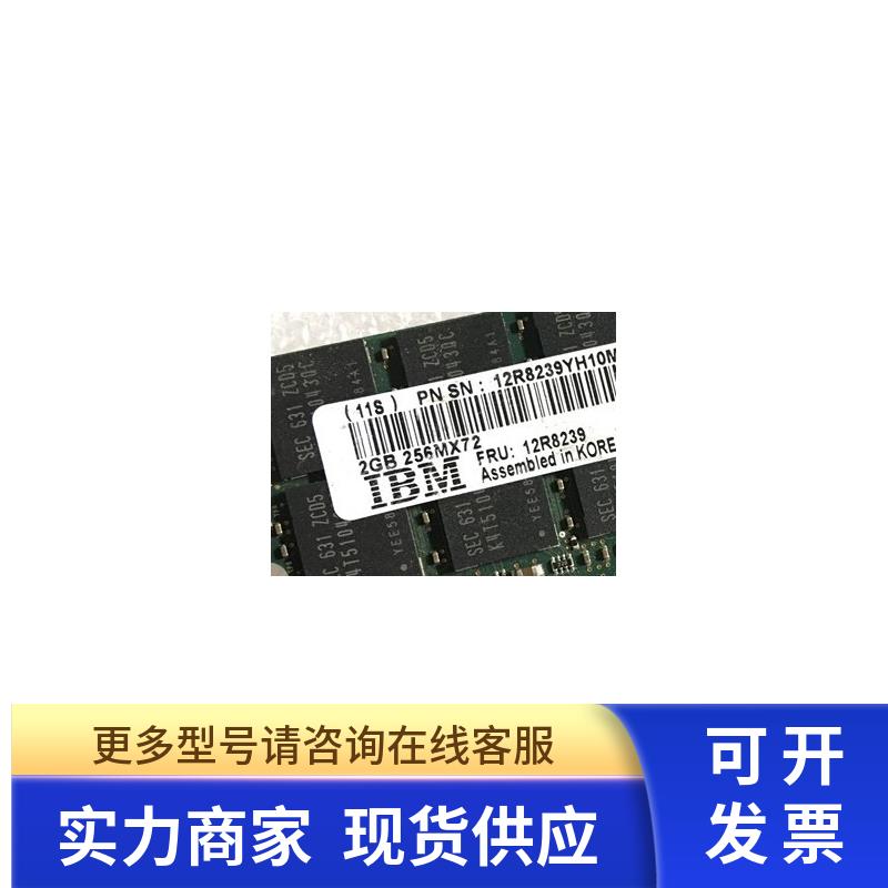 IBM Power5 51A 52A 55A 小型机单条容量2GB内存 12R8239 议价