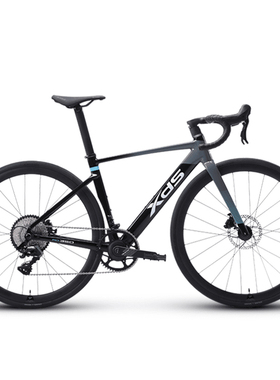 喜德盛公路自行车2025款AD350碳纤前叉铝合金超轻气动车架油碟