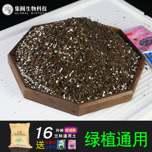 兰花专用土营养土兰科植料松树皮小颗粒绿植介质养兰透气有机土壤