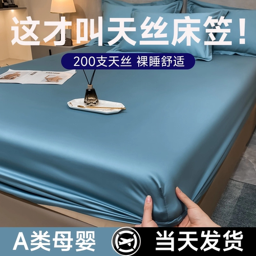 A类2023新款天丝床笠单件床垫套保护套冰丝纯棉床罩防尘罩